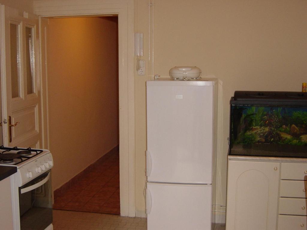 Ringavenue Apartments Budapeşte Oda fotoğraf